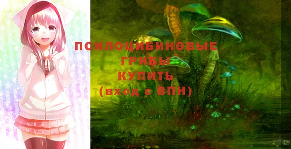 apvp Балабаново