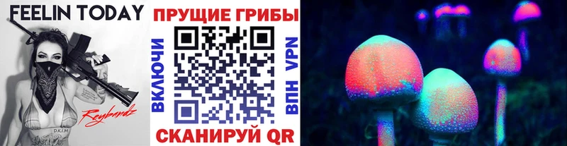Галлюциногенные грибы MAGIC MUSHROOMS  мориарти клад  Мамоново  kraken ТОР 